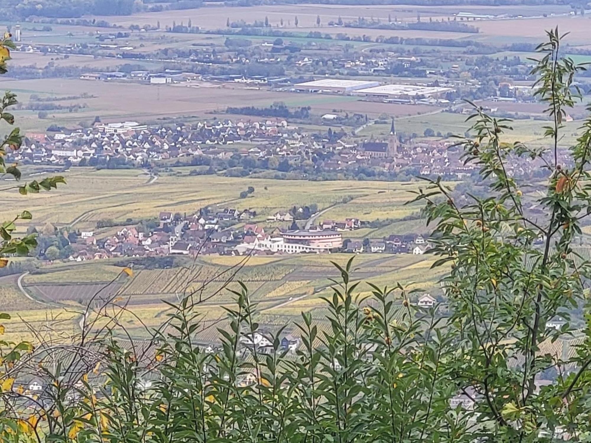 Vila Sur La Route Du Vin Rorschwihr Exteriér fotografie